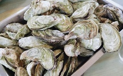 一本道久在线综合道